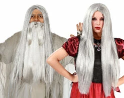 Perruque Longue Grise