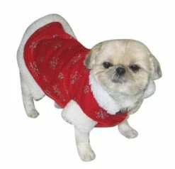 Déguisement De Noël Pour Chien