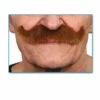 Moustache Papy Rousse