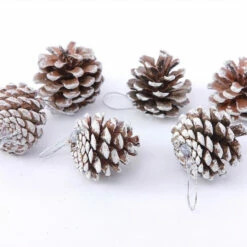 Pomme De Pin Givrée