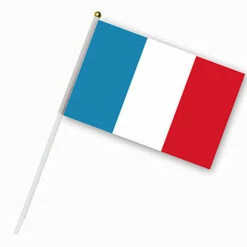 Drapeau De La France Monté Sur Tige