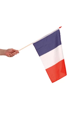 Drapeau Français Sur Tige 45 Cm X 30 Cm